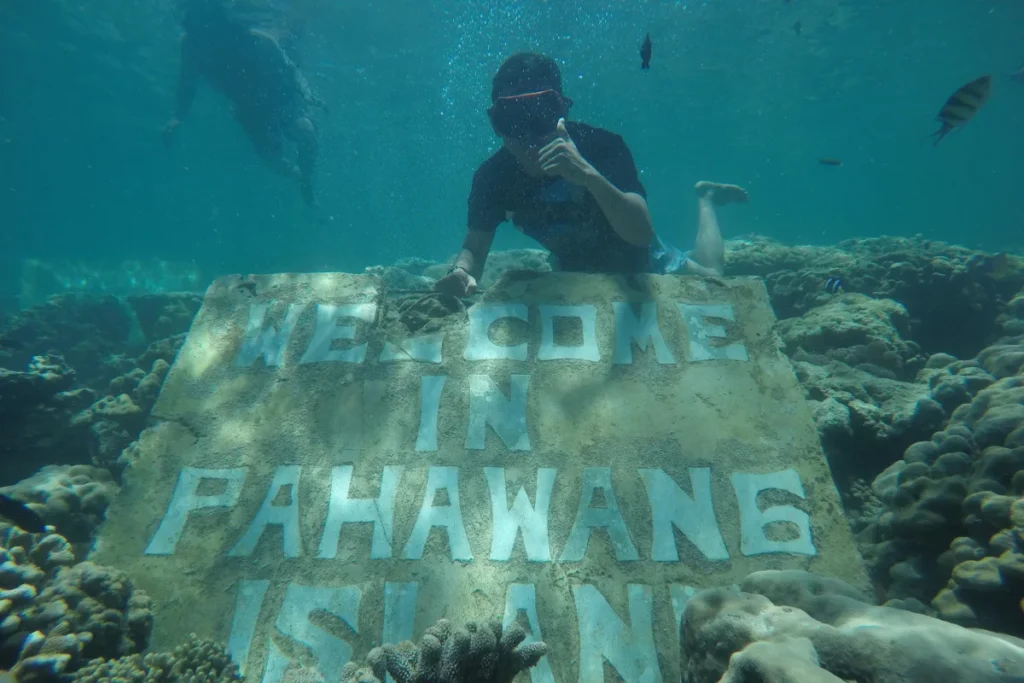 open trip pulau pahawang