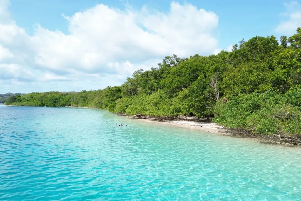 open trip pulau peucang ujung kulon 3 hari 2 malam